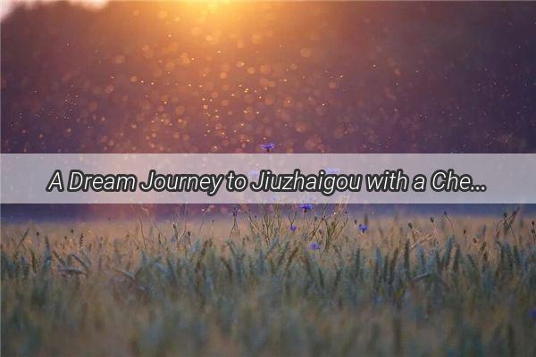 A Dream Journey to Jiuzhaigou with a Cherished Friend A Tale of Unforgettable Adventures and Lifelong Bonds